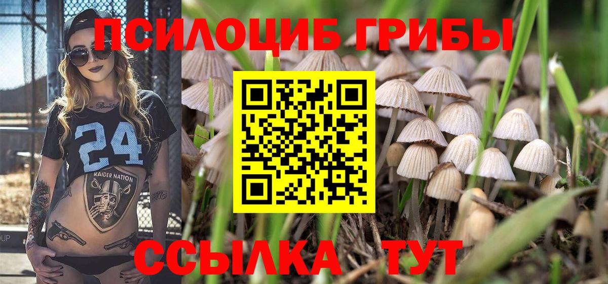 Псилоцибиновые грибы прущие грибы  Псилоцибиновые грибы ЛСД  Заволжье  Вход с VPN 