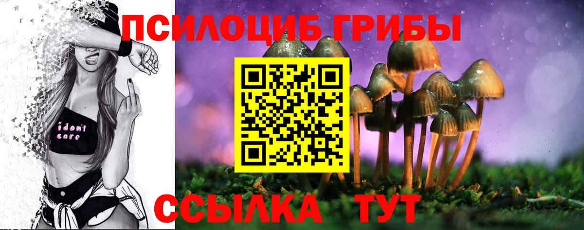 Галлюциногенные грибы Magic Shrooms Заволжье